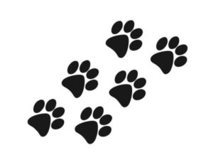 Samolepka psí tlapky