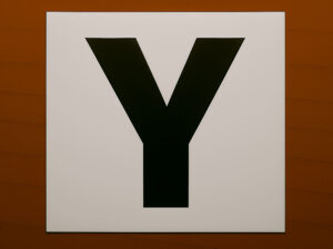 Samolepka písmeno Y